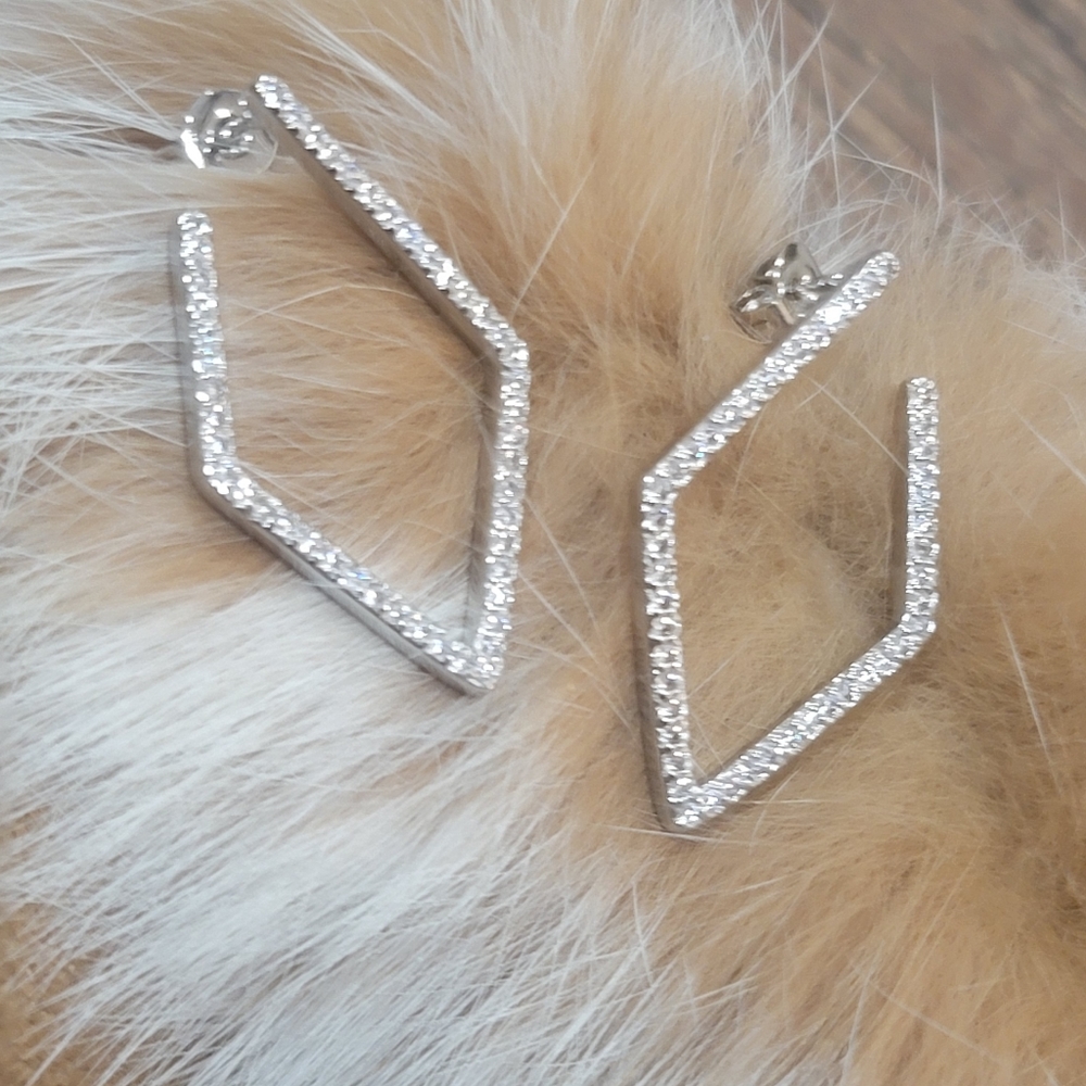 NIB Hoop Earrings Adornia